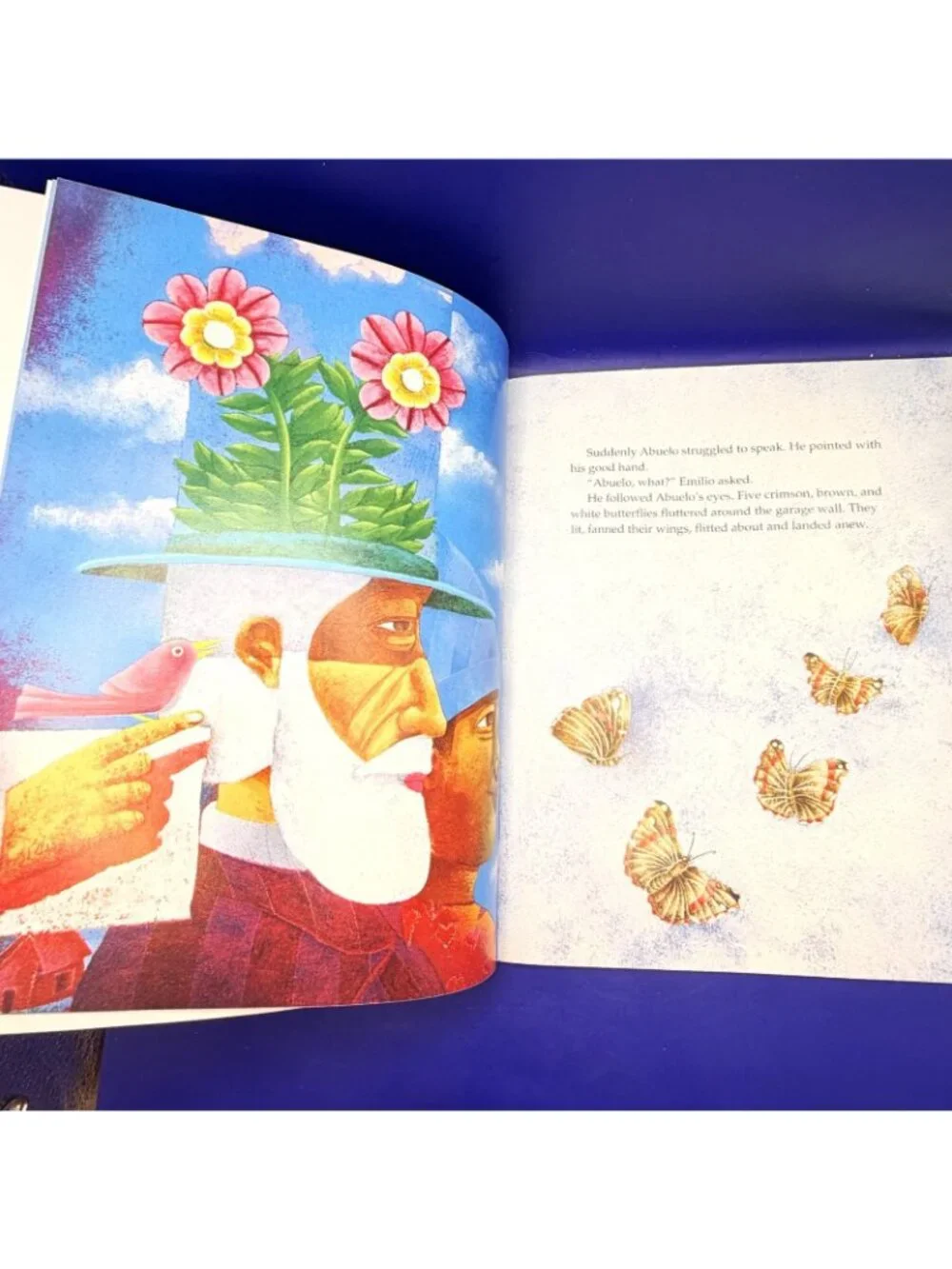 Butterfly Boy Virginia Kroll PB Scholastic Latino Multicultural Family Reading
